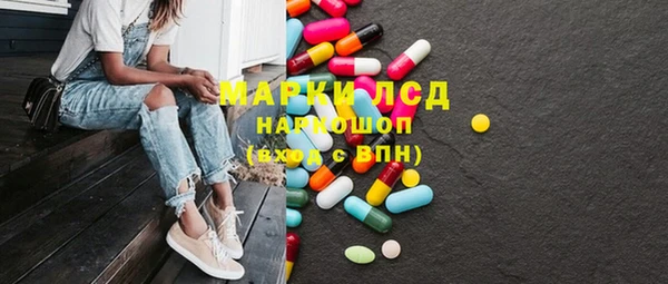 PSILOCYBIN Алзамай