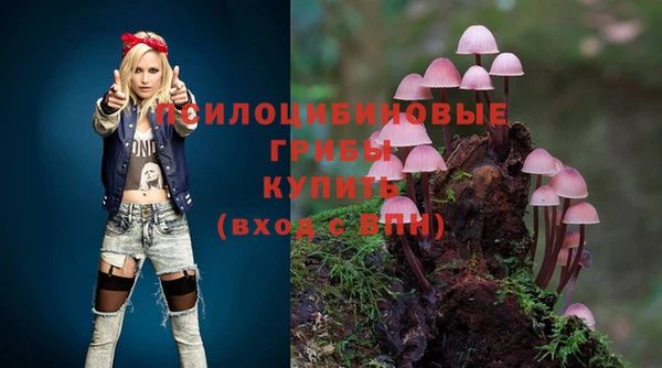 кокс Абинск